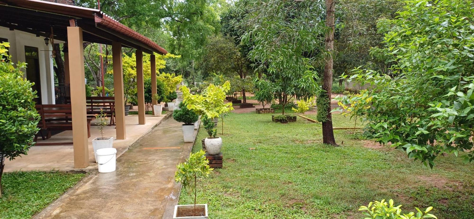 Forest Edge Villa 阿努拉德普勒 外观 照片